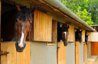free Maud stable construction quotes